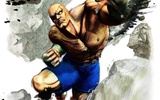 Super_street_fighter_iv-sagat